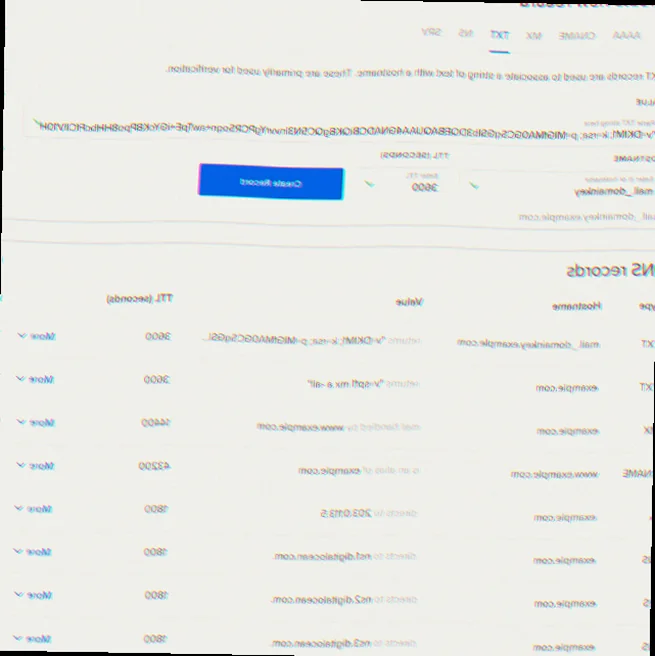 Komplet DKIM DNS vejledning