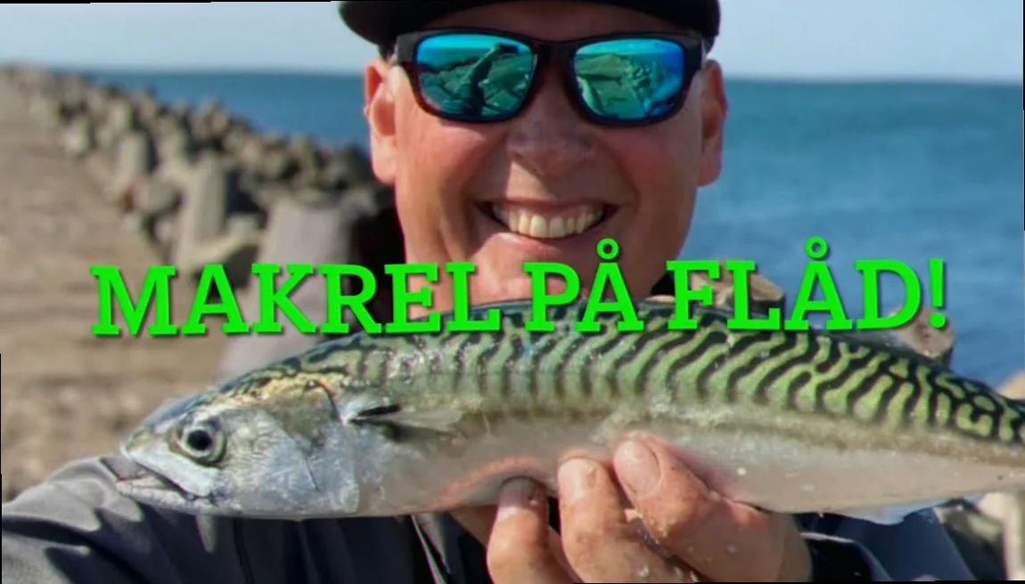 Ernæringsinformation makrel i tube
