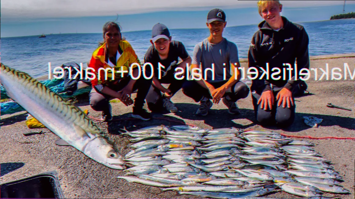 Køb makrel i tube online