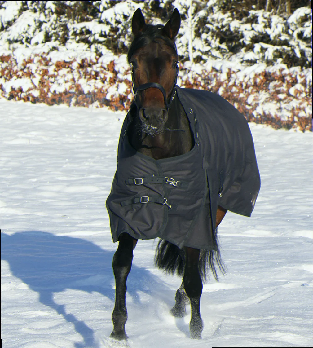 Top vinterdækken til pony