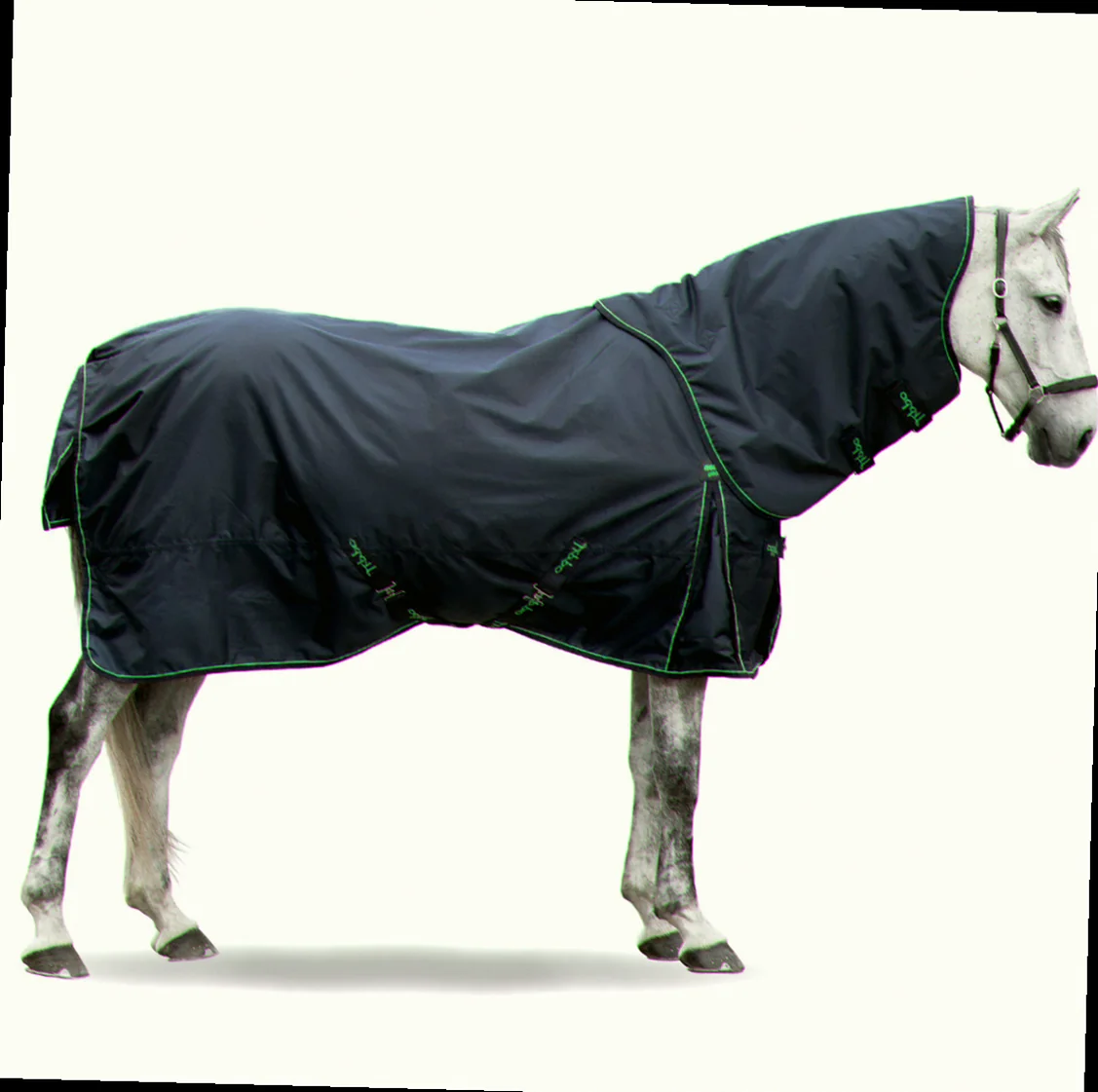 Vintertøj til pony